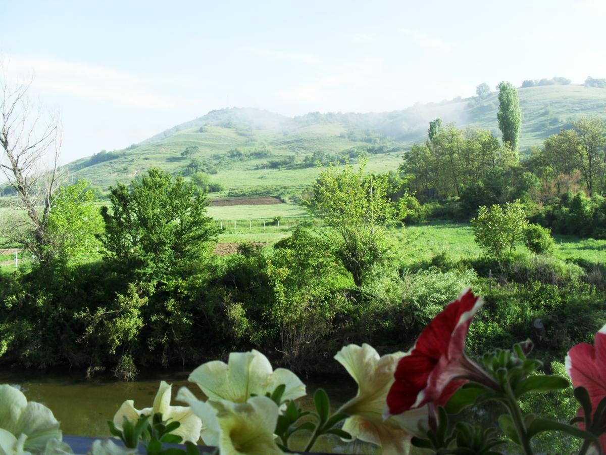 Perperеshka River Villas Stremtsi 外观 照片